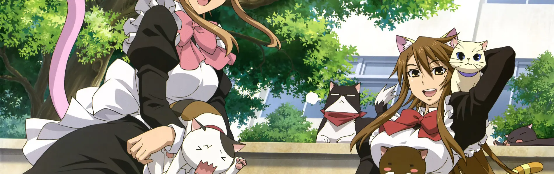 Nyan Koi!