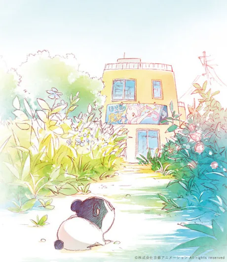Baja's Studio (2017)