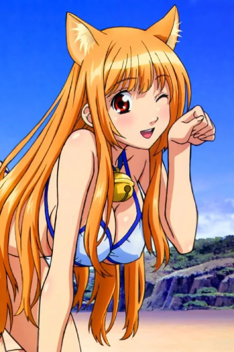 Asobi ni Iku yo! Asobi ni Oide (2011)