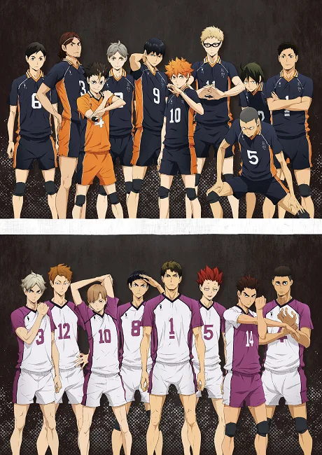 Haikyuu!!: Karasuno Koukou VS Shiratorizawa Gakuen Koukou (2016)
