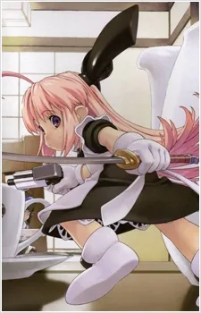 Ichigeki Sacchuu!! Hoihoi-san (2004)