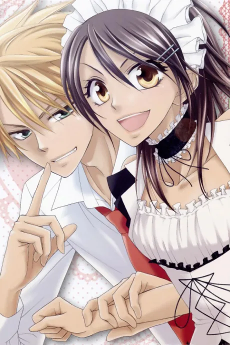 Maid-Sama! (2010)