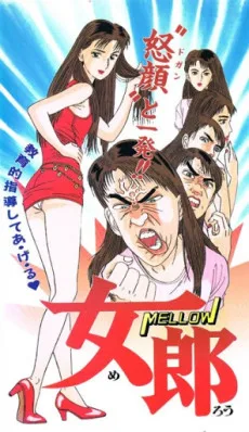 Mellow (1993)