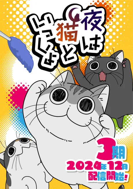 Nights with a Cat Season 3 (2024)