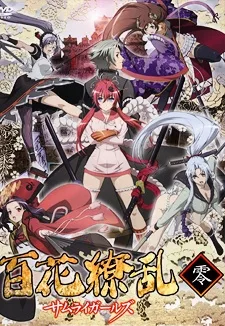 Samurai Girls (2010)
