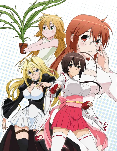 Sekirei (2008)