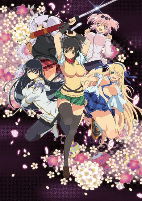 Senran Kagura: Ninja Flash! (2013)