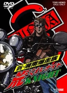 Shin Shounan Bakusouzoku Arakure KNIGHT (1997)
