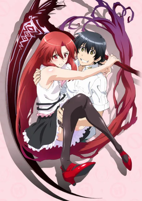 Dakara Boku wa, H ga Dekinai. (2012)