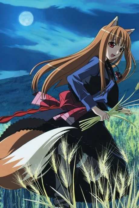 Ookami to Koushinryou II: Ookami to Kohakuiro no Yuuutsu (2009)