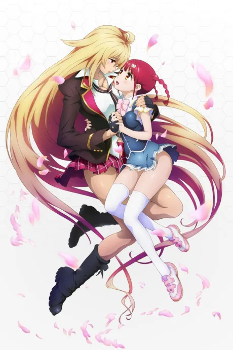 Valkyrie Drive: Mermaid poster