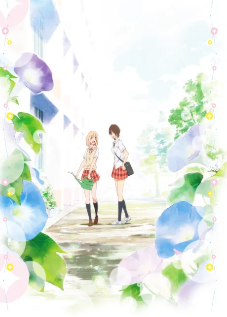 Your Light: Kase-san and Morning Glories (2017)
