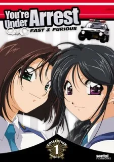 You're Under Arrest: Fast &amp; Furious (2001)